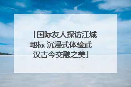国际友人探访江城地标 沉浸式体验武汉古今交融之美