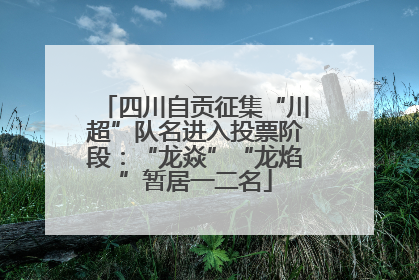 四川自贡征集“川超”队名进入投票阶段：“龙焱”“龙焰”暂居一二名