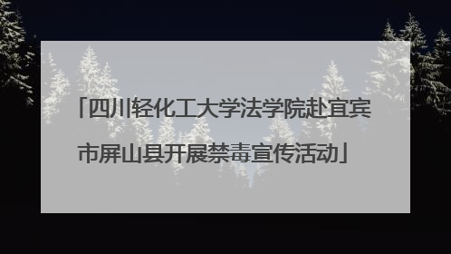 四川轻化工大学法学院赴宜宾市屏山县开展禁毒宣传活动