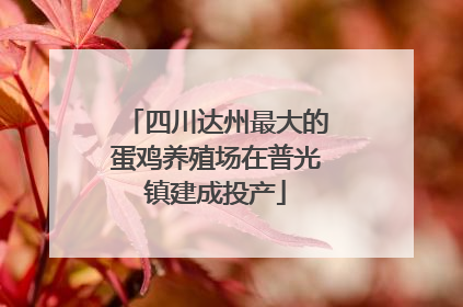 四川达州最大的蛋鸡养殖场在普光镇建成投产