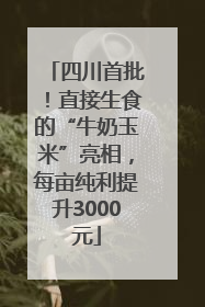 四川首批！直接生食的“牛奶玉米”亮相，每亩纯利提升3000元