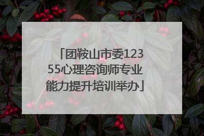 团鞍山市委12355心理咨询师专业能力提升培训举办