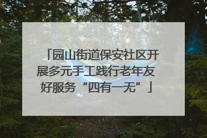 园山街道保安社区开展多元手工践行老年友好服务“四有一无”
