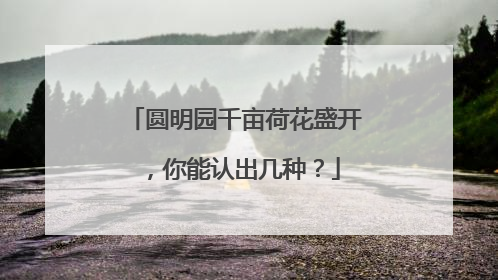 圆明园千亩荷花盛开，你能认出几种？