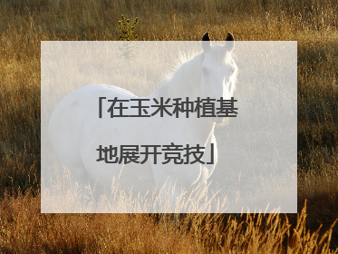 在玉米种植基地展开竞技