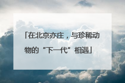 在北京亦庄，与珍稀动物的“下一代”相遇
