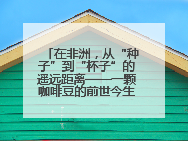 在非洲，从“种子”到“杯子”的遥远距离——一颗咖啡豆的前世今生（三）