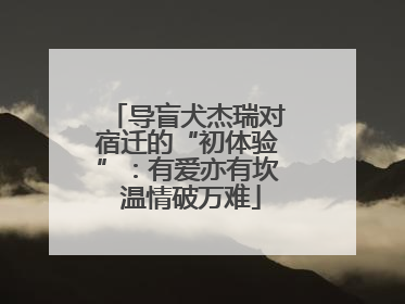 导盲犬杰瑞对宿迁的“初体验”：有爱亦有坎 温情破万难