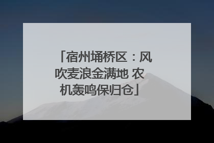 宿州埇桥区：风吹麦浪金满地 农机轰鸣保归仓