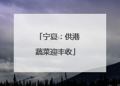 宁夏：供港蔬菜迎丰收