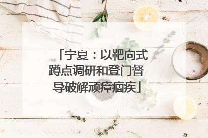 宁夏：以靶向式蹲点调研和登门督导破解顽瘴痼疾