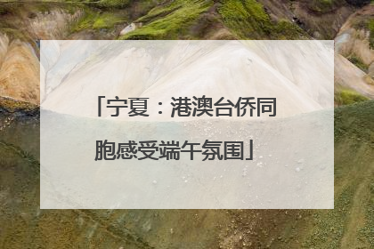 宁夏：港澳台侨同胞感受端午氛围