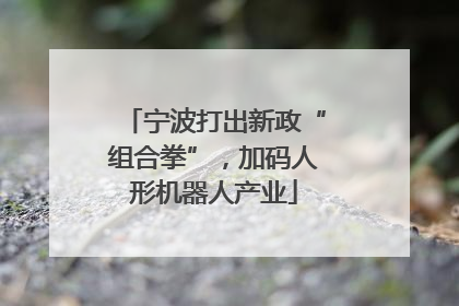 宁波打出新政“组合拳”，加码人形机器人产业