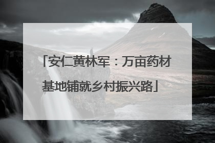 安仁黄林军：万亩药材基地铺就乡村振兴路