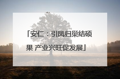 安仁：引凤归巢结硕果 产业兴旺促发展