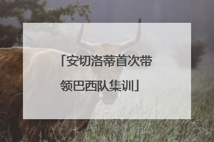 安切洛蒂首次带领巴西队集训