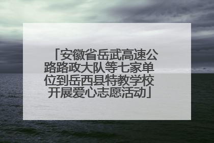 安徽省岳武高速公路路政大队等七家单位到岳西县特教学校开展爱心志愿活动