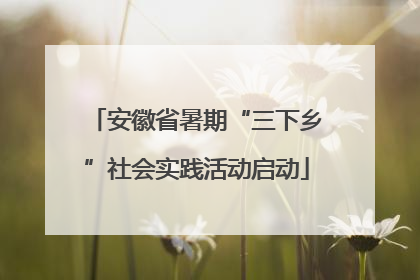 安徽省暑期“三下乡”社会实践活动启动