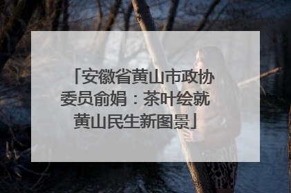 安徽省黄山市政协委员俞娟：茶叶绘就黄山民生新图景