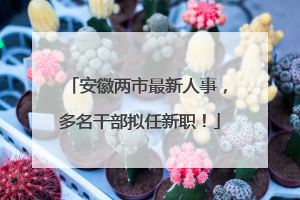 安徽两市最新人事，多名干部拟任新职！