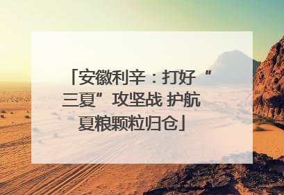 安徽利辛：打好“三夏”攻坚战 护航夏粮颗粒归仓