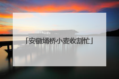 安徽埇桥小麦收割忙
