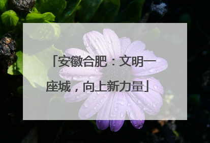 安徽合肥：文明一座城，向上新力量