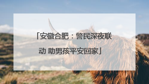 安徽合肥：警民深夜联动 助男孩平安回家