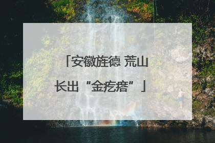 安徽旌德 荒山长出“金疙瘩”