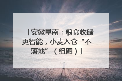 安徽阜南：粮食收储更智能，小麦入仓“不落地”（组图）
