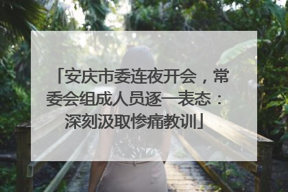 安庆市委连夜开会，常委会组成人员逐一表态：深刻汲取惨痛教训