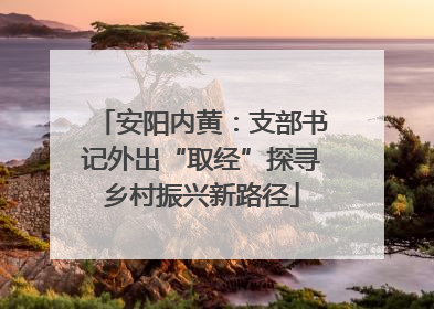 安阳内黄：支部书记外出“取经”探寻乡村振兴新路径
