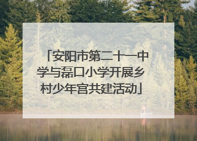 安阳市第二十一中学与磊口小学开展乡村少年宫共建活动