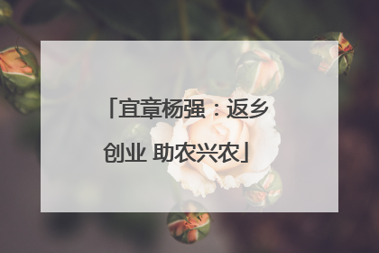 宜章杨强：返乡创业 助农兴农