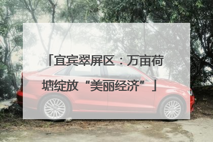 宜宾翠屏区：万亩荷塘绽放“美丽经济”