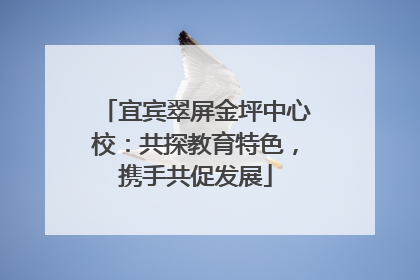 宜宾翠屏金坪中心校：共探教育特色，携手共促发展