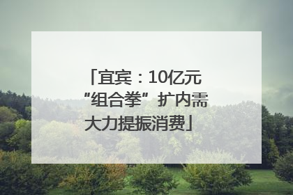 宜宾：10亿元“组合拳”扩内需 大力提振消费