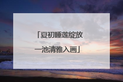 夏初睡莲绽放 一池清雅入画