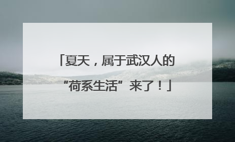 夏天，属于武汉人的“荷系生活”来了！