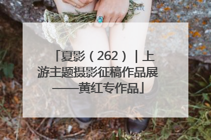 夏影（262）｜上游主题摄影征稿作品展——黄红专作品