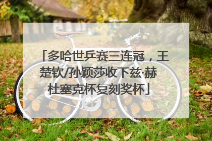 多哈世乒赛三连冠，王楚钦/孙颖莎收下兹·赫杜塞克杯复刻奖杯