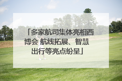 多家航司集体亮相西博会 航线拓展、智慧出行等亮点纷呈