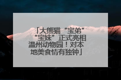 大熊猫“宝弟”“宝妹”正式亮相温州动物园！对本地美食情有独钟