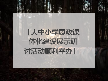 大中小学思政课一体化建设展示研讨活动顺利举办