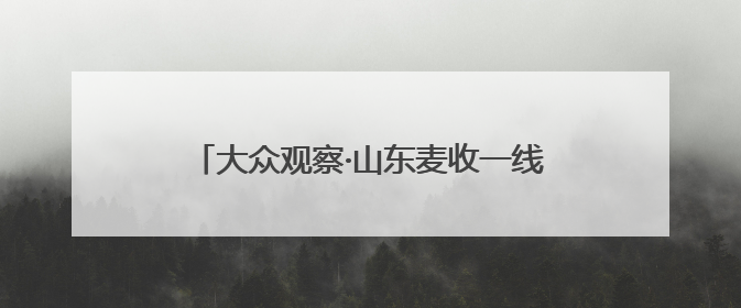 大众观察·山东麦收一线｜“无形田”里有大账