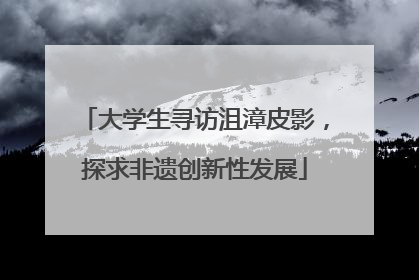 大学生寻访沮漳皮影，探求非遗创新性发展