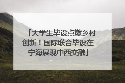大学生毕设点燃乡村创新！国际联合毕设在宁海展现中西交融