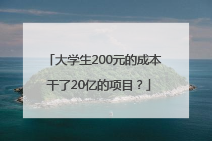 大学生200元的成本干了20亿的项目？