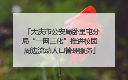 大庆市公安局卧里屯分局“一网三化”推进校园周边流动人口管理服务