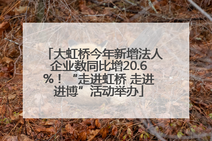大虹桥今年新增法人企业数同比增20.6%！“走进虹桥 走进进博”活动举办